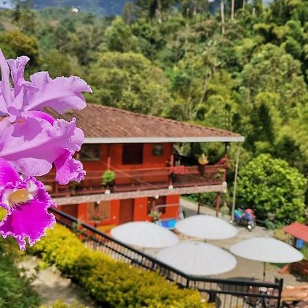 Hotel Orillas Del Pizano 贾丁 外观 照片