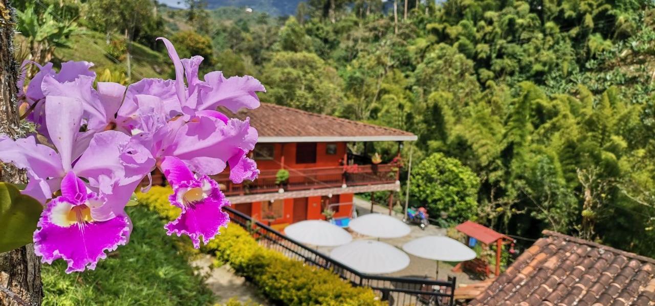 Hotel Orillas Del Pizano 贾丁 外观 照片