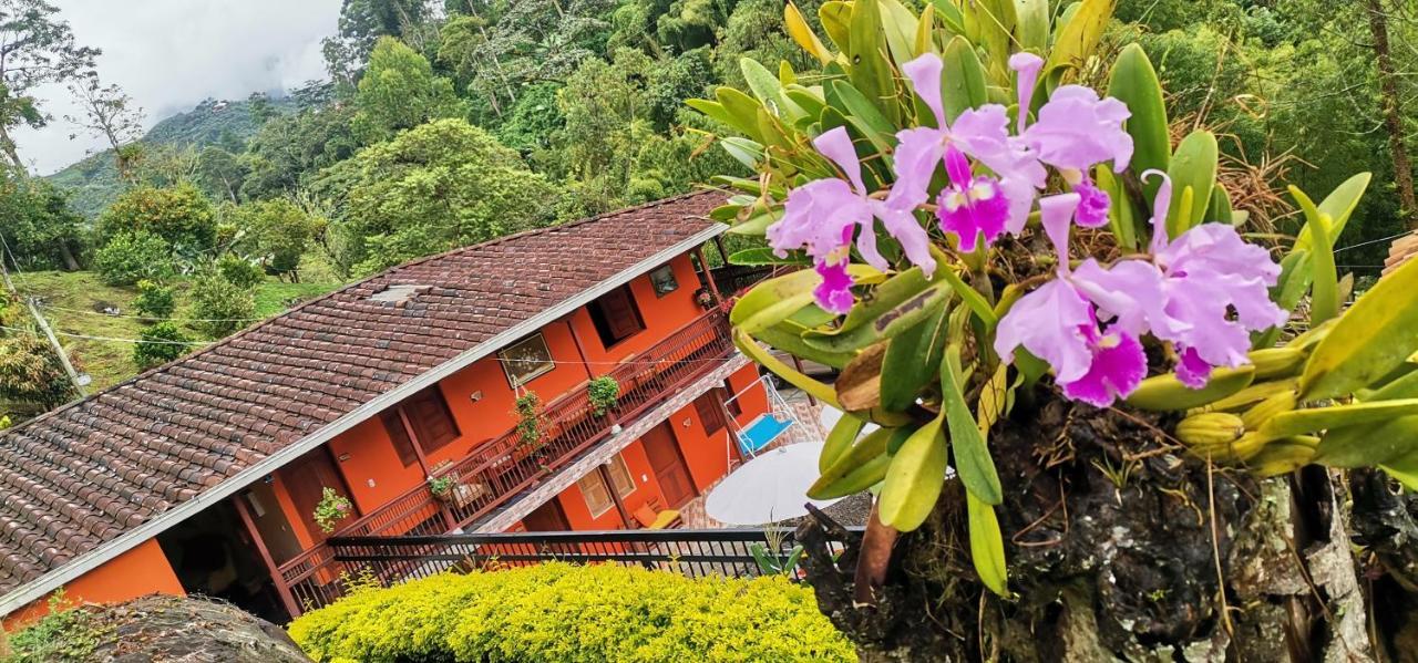 Hotel Orillas Del Pizano 贾丁 外观 照片