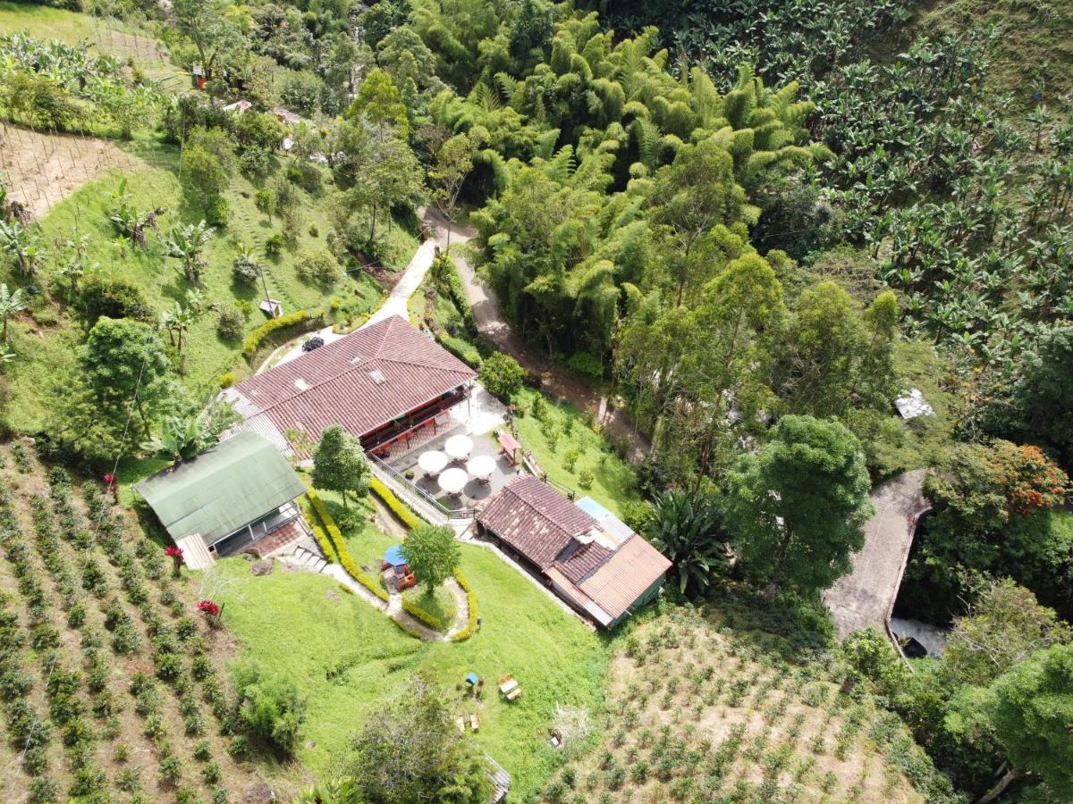 Hotel Orillas Del Pizano 贾丁 外观 照片