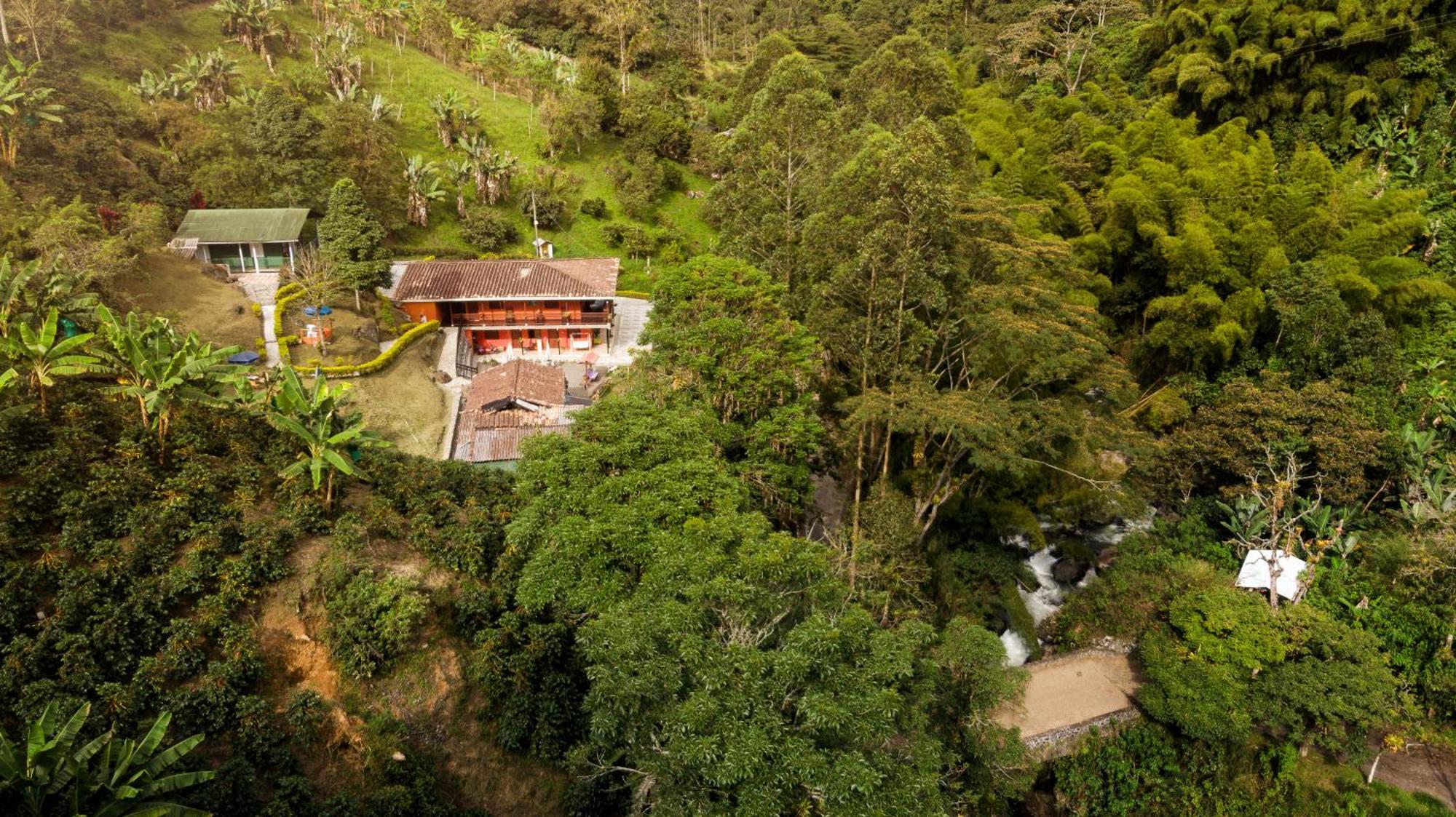 Hotel Orillas Del Pizano 贾丁 外观 照片